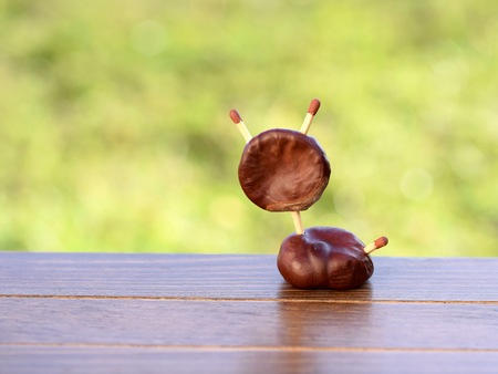 Animal figurine made of chestnutsの写真素材