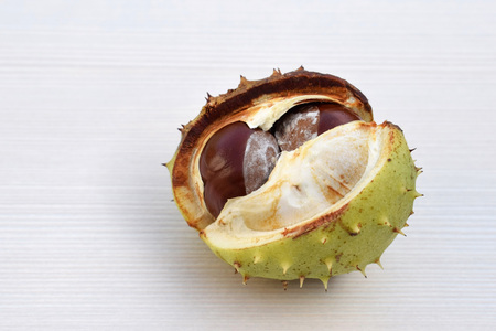 Fresh double chestnut