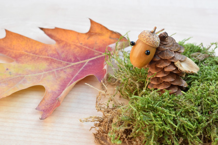 Figure made of acorns and conesの写真素材