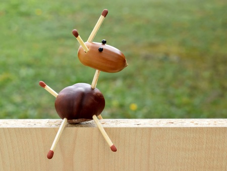 Animal made of chestnuts and acornsの写真素材