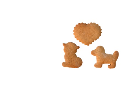 Cat loves dog - gingerbread cookies isolated on whiteの写真素材