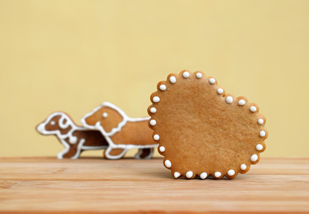 Gingerbread cookies isolatedの写真素材