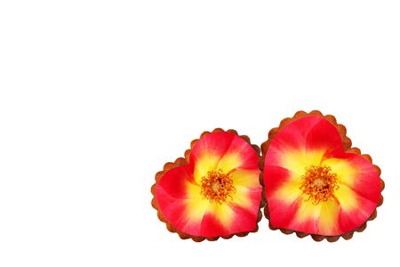 Creative love composition - two floral hearts with yellow-red rose flower, isolated, copy spaceの写真素材