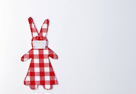 Checkered fabric bunny girl with cotton face protectionの写真素材