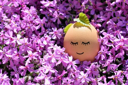 Cute Easter egg in phlox flowersの写真素材