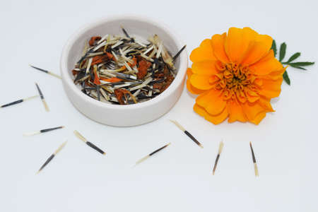 Orange tagetes flower with seeds in a small bowl and around it, white backgroundの写真素材