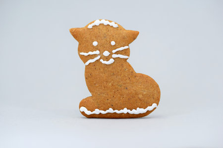 Cute gingerbread cat decorated with white icingの写真素材