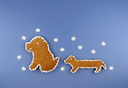 Two cute gingerbread dogs decorated with white icing, small sugar snowflakes around. Winter time....