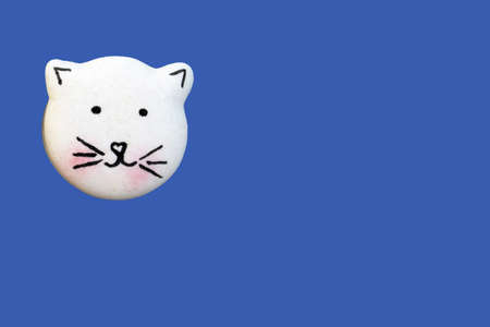 Cute macaron in a shape of cat isolate on blue background, top view, copy space