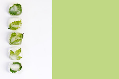 Green leaves of herbs frozen in ice cubes. Bio, organic concept. Phytotherapy, alternative medicine. Copy space for textの写真素材