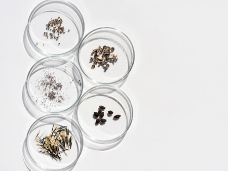 Petri dishes with various flower and herb seeds. Cultivation of plants, gardening or research concept. Copy space for textの写真素材