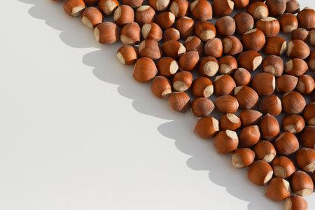 Hazelnuts in shell, white background, copy space for textの写真素材