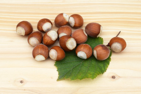 Hazelnuts in shell with hazel leaf on a wooden backgroundの写真素材