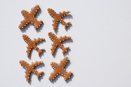 Gingerbread cookies in a shape of airplanes, white background, copy spaceの写真素材