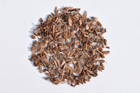 Oak bark on a white background