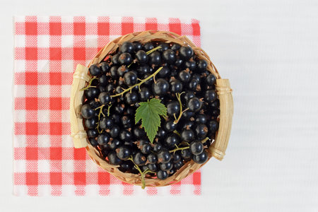 Fresh ripe black currant with leaf in a small basket. Gardening, harvest, healthy food conceptの写真素材