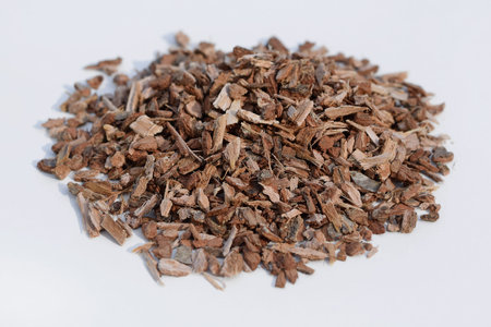 Oak bark on a white background
