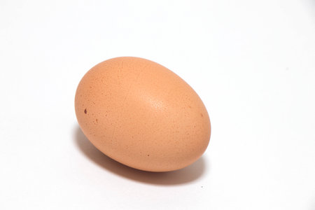 eeg on white backgroundの写真素材