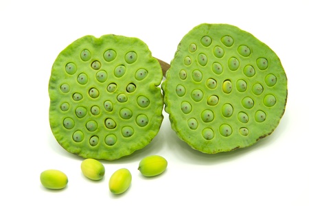Lotus Seedsの写真素材