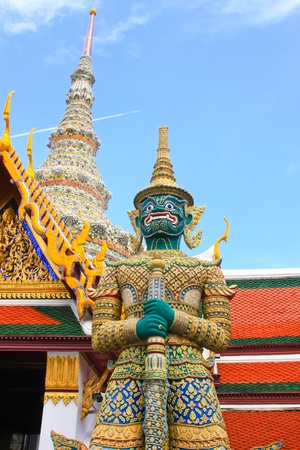 thailand giantの写真素材