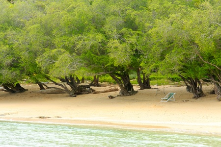 beautiful thailand beach and canvas bedの写真素材