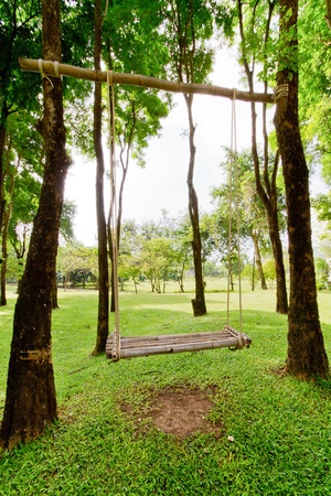 swing in the gardenの写真素材