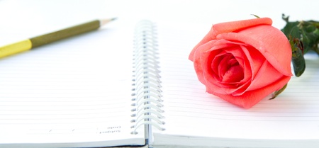 rose on the diaryの写真素材