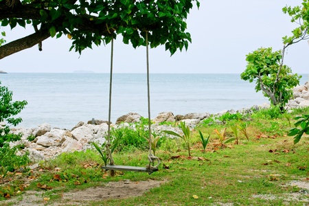 wooden swing on the beachの写真素材