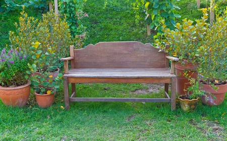 wooden chair in the gardenの写真素材