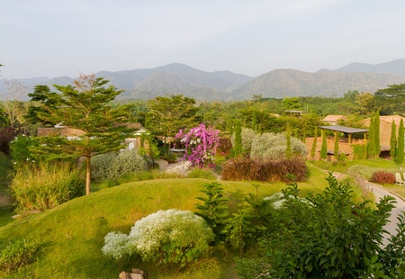 beautiful gardenの写真素材