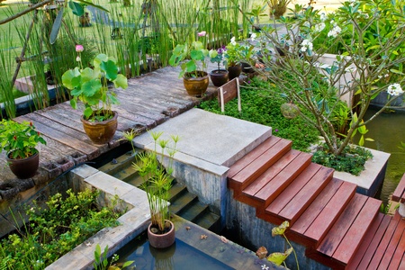 beautiful gardenの写真素材