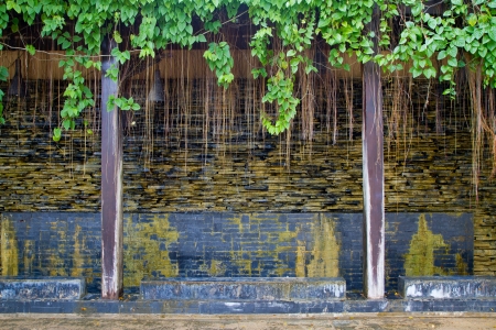 fountain and wall treeの写真素材