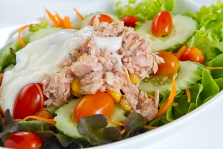 tuna sald in white dishの写真素材