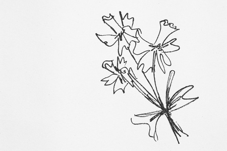 Drawn flower on white wallの写真素材