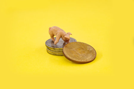 Macro farmer figures mining of bitcoins. Virtual cryptocurrency mining concept.