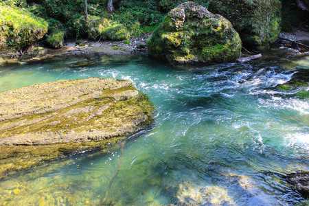 Erlauftalschlucht, river in Austriaの写真素材