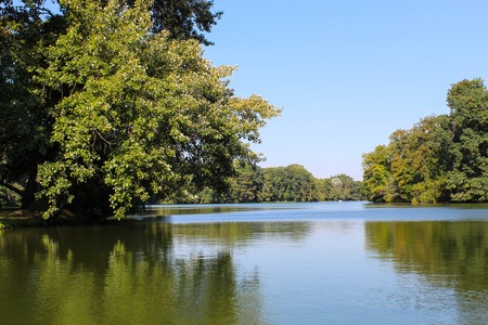 Nature in Austria at Lake, Laxenburgの写真素材