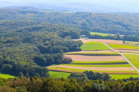 Forest in Austria from above, Tullnerfeldの写真素材
