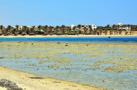 marsa alam, egypt, africaの写真素材