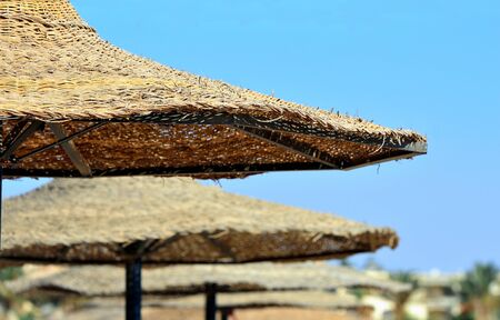 beach umbrella at marsa alam egyptの写真素材