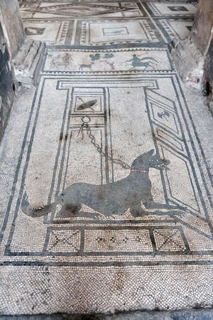 archaeological area, remains of the city buried by the eruption of ashes and rocks of Vesuvius in 79 Remains of a floor Pompeii Italyの写真素材