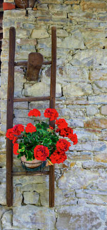 glimpse of sale San Giovanni cuneo Italy