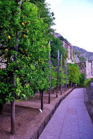 lemon house of the castel Limone sul Garda Brescia Italyの写真素材