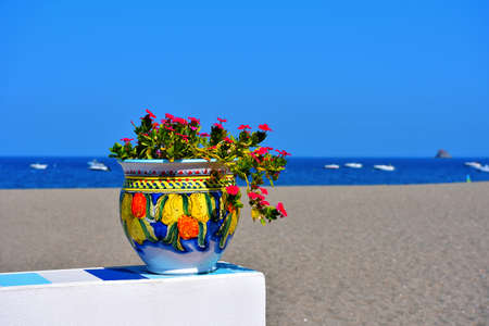 vase of flowers on the seaside promenade in patti Sicily Italyの写真素材