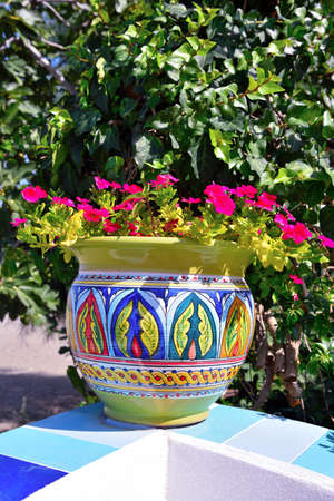 vase of flowers on the seaside promenade in patti Sicily Italyの写真素材