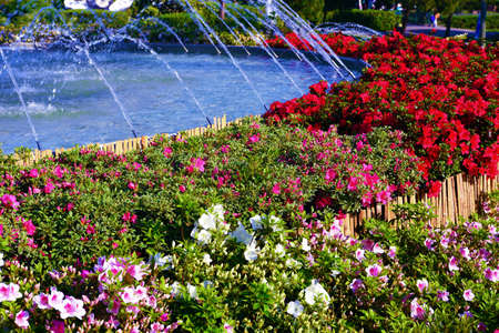 Euroflora is an international exhibition of the flower and ornamental plant is one of the main...