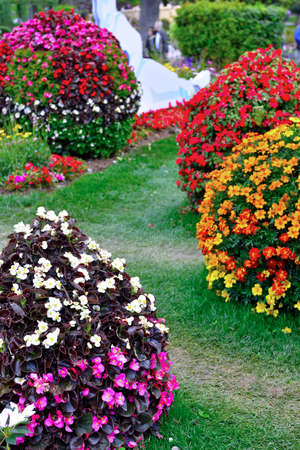 Euroflora nervi parks garden Genoa Italyの写真素材