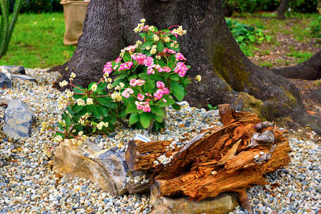 Euroflora nervi parks garden Genoa Italyの写真素材