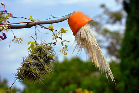 Euroflora nervi parks garden Genoa Italyの写真素材