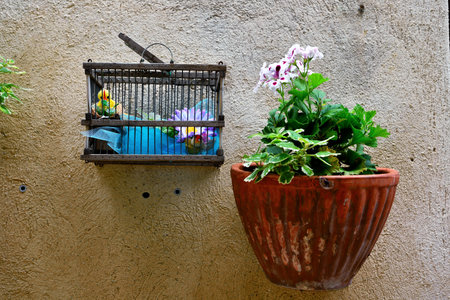 flowers in the historic center of verezzi savona italyの写真素材